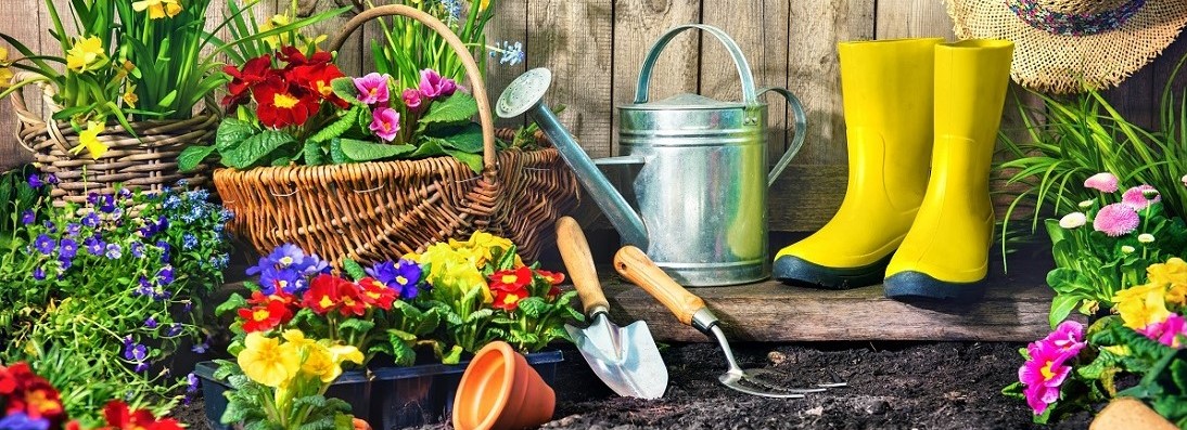 Planting flowers in sunny garden. Gardening tools and spring flowers at the backyard
